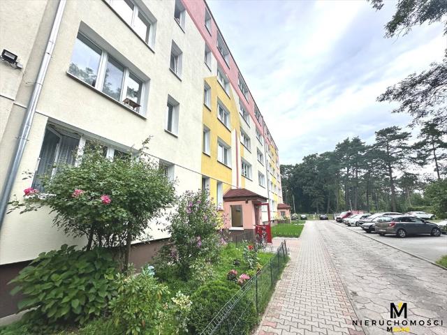 Do sprzedania 2 pokojowe mieszkanie 39,5 m² z widokiem na las