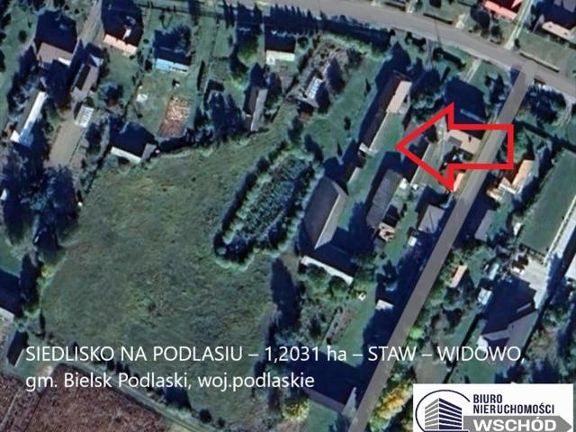 Duża działka z stawem i domem 90 m² – Widowo