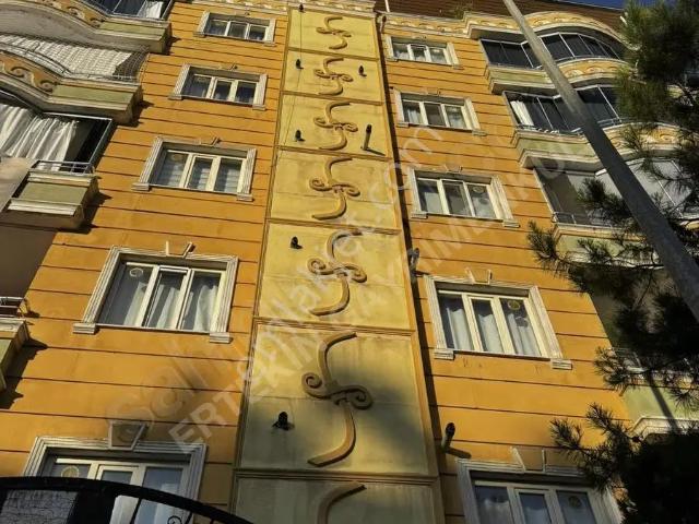 Dünya Hastenesi Yanıda Balkonlu Yüksek Giriş