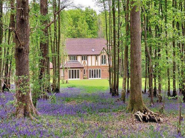 Dunsfold, Godalming GU8 4 bed detached house to rent £5,750 pcm £1,327 pw