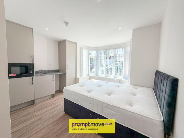 Dunstable Road Luton LU4 8SE Studio to rent £750 pcm £173 pw