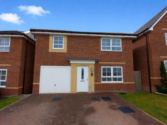 Dunstanburgh Walk, Spennymoor, Durham DL16, 4 bed detached house to rent, £1,300 pcm | PrimeLocation