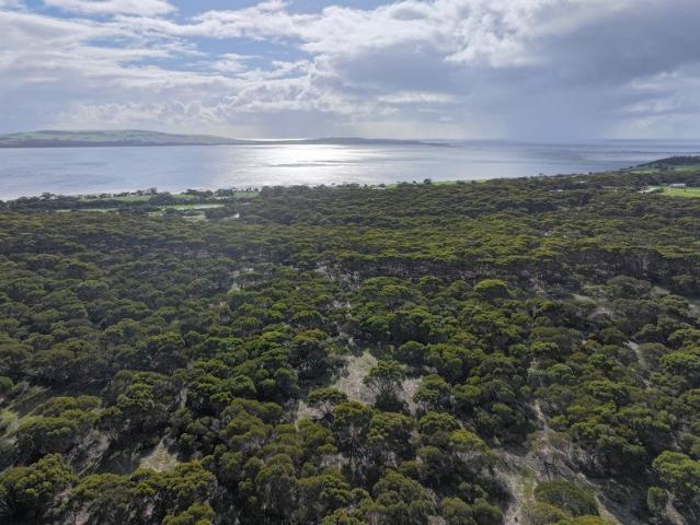 Dual Ocean Views Outstanding Opportunity