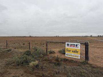 Dual Income Mid North Farming Opportunity on 386 Hectares