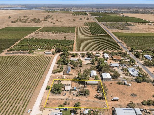 Dual Living Family Home on 4,388sqm with Massive Shed & Vineyard Views