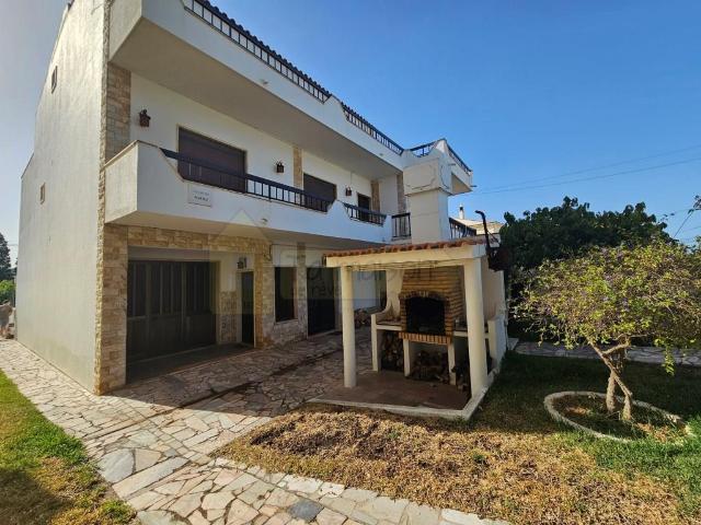 Duas Moradias numa Única Propriedade Oportunidade Imperdív. 568m² Quarteira