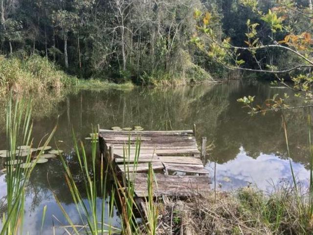 Duas casas,curral,terras cultura boa dimais