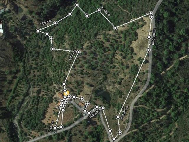 Duas ruinas com terreno de 4Ha, Loulé, Algarve