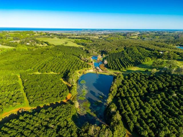 Duck Creek Estate 230 Acres of Pure Potential, Right in Newrybar's Backyard!