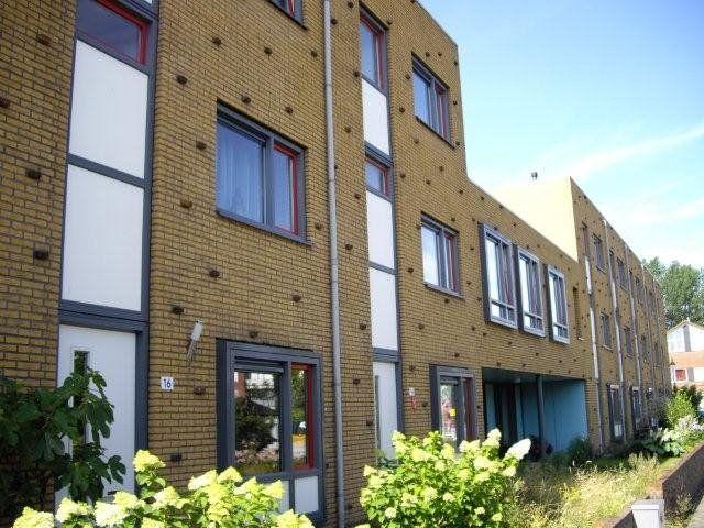 Duifpolder, 36, Amersfoort