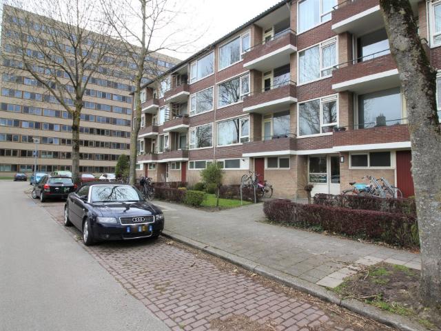 Duindoornstraat, Groningen