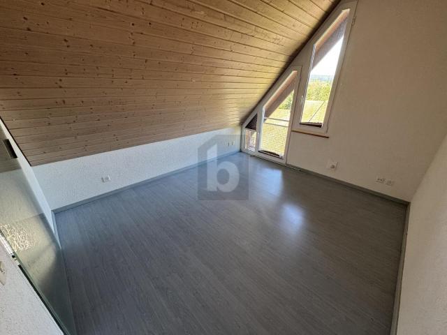 Duplex/two level with 2.5 rooms on sale in Zwingen 61 m² | dreamo. Ch