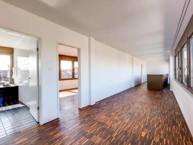 Duplex/two level with 3.5 rooms for rent in Basel 143 m² | dreamo. Ch