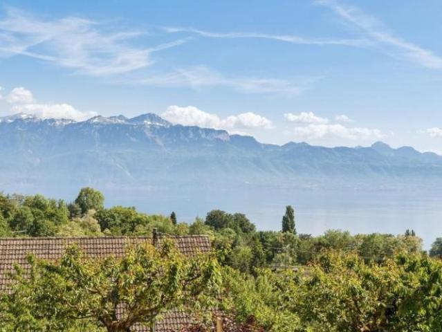 Maisonettewohnung mit herrlichem Seeblick Eine Terrasse am Genfer Se