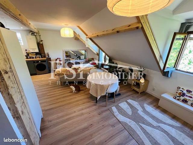 Duplex 3 pièces 54 m²
