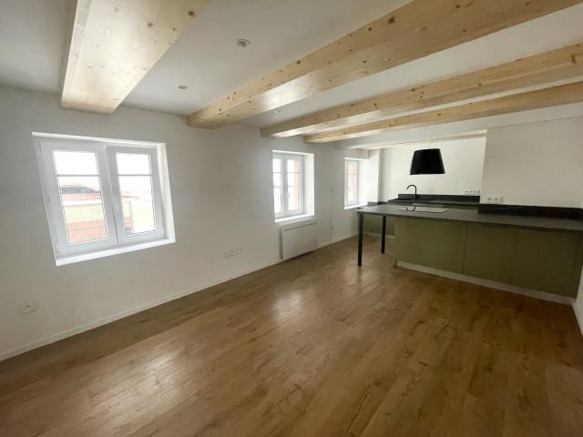 Duplex 3 pièces avec entrée indépendante, offrant un esprit maison, situé dans un ancien corps de ferme rénové