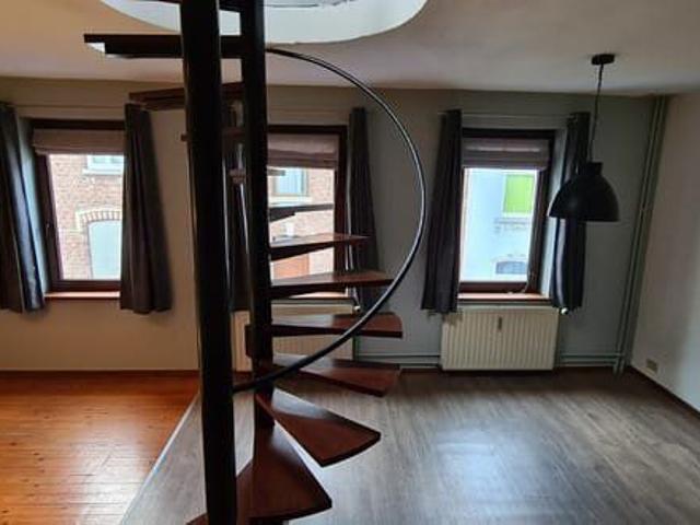 Duplex 1 ch agréable et lumineux