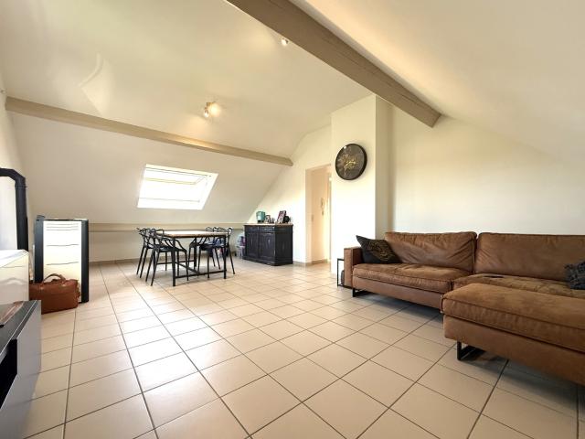 Duplex option l. 5310 Leuze