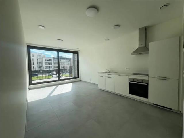 Duplex à louer à Bisschoppenhoflaan 339 Deurne