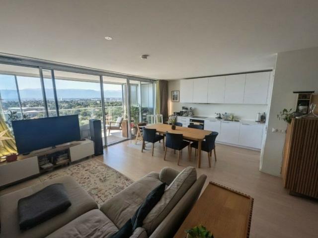 Duplex dexception avec vue panoramique sur Genève  Chêne Bourg