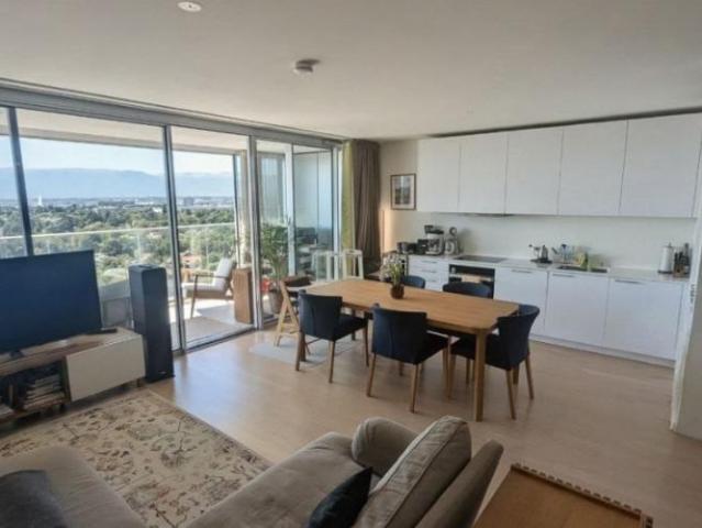 Duplex d'exception avec vue panoramique sur Genève Chêne Bourg