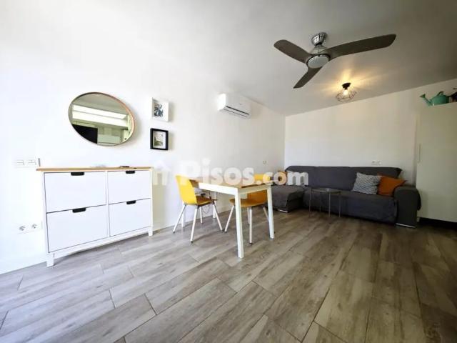 Dúplex en alquiler en Calle Doctor Agustín Millares Carlo