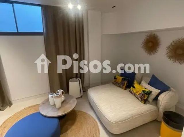Dúplex en alquiler en Calle P.º Marítimo Pablo Ruiz Picasso