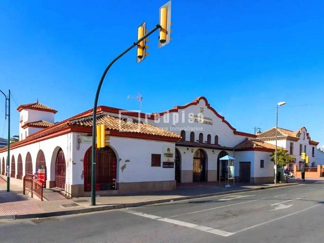 Dúplex en alquiler en de Serrano Parres
