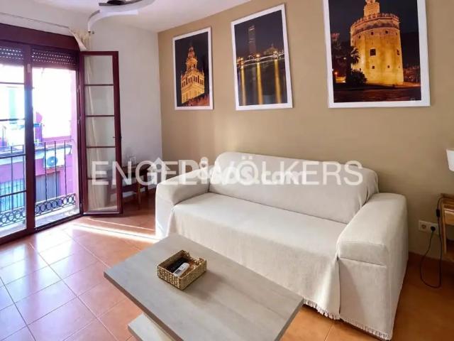 Dúplex en alquiler en Triana Casco Antiguo