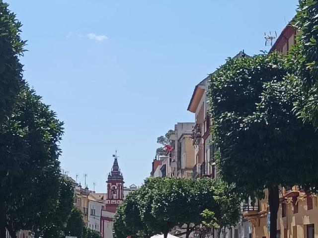 Dúplex en Venta en Triana Casco Antiguo