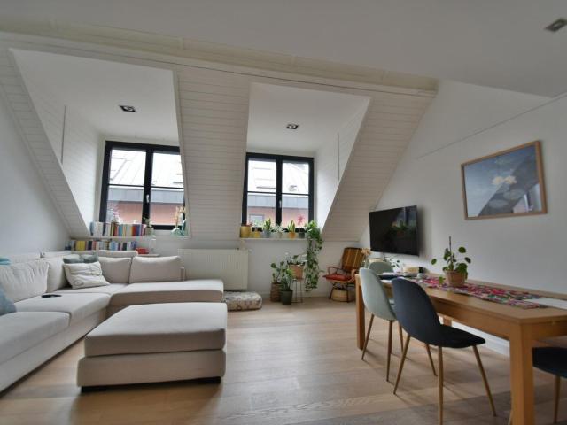 Duplex for rent top area