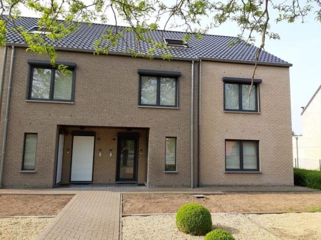 Duplex Kwaadmechelen te huur