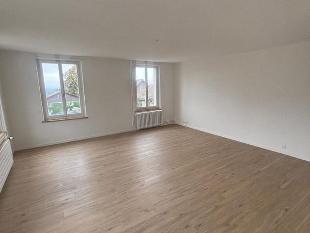 Duplex /Maisonette Wohnung in Wernetshausen
