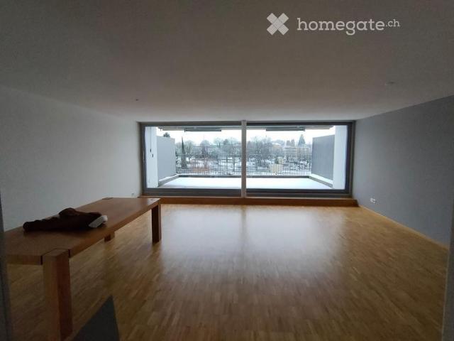 Duplex /Maisonette Wohnung in Wetzikon
