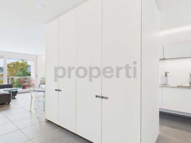 Duplex Penthouse 4,5 Zimmer | Renoviert in Massagno – Erst und Zweitwohnsitz