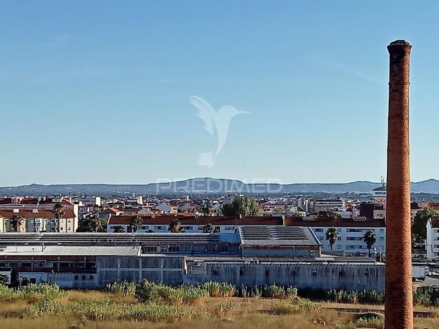 Duplex t3+1 com grandes terraços montijo