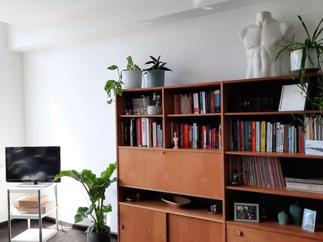 Duplex te huur