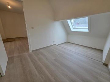 9240, Termonde, Flandre orientale, Flandre