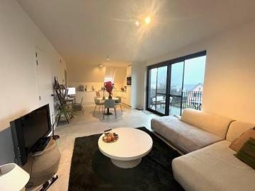 2243, Pulle, Arrondissement de Anvers, Province de Anvers, Flandre