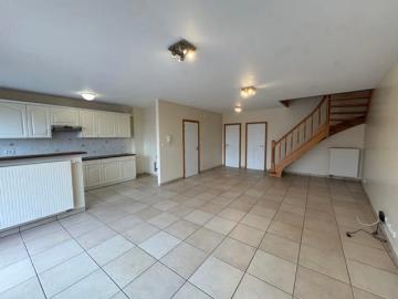 1650, Beersel, Hal-Vilvorde, Flandre - Terras