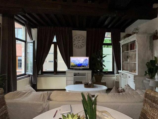 Duplex te huur in Antwerpen voor € 975 met 1 slaapkamer