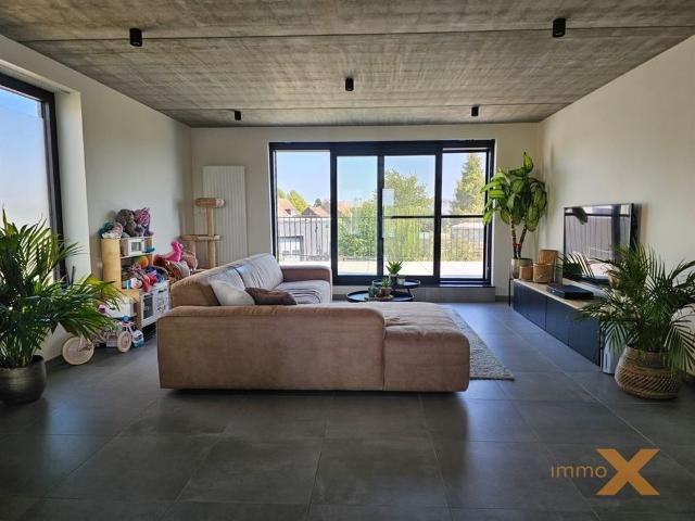 Duplex te Lovendegem