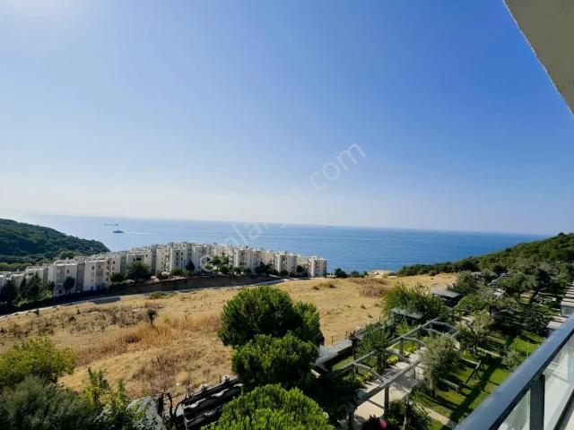 Dürbününü Al İstanbulu İzle Doğa Ve Deniz İç İçe Lebiderya