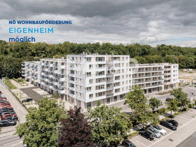 Durchdachte Raumaufteilung!