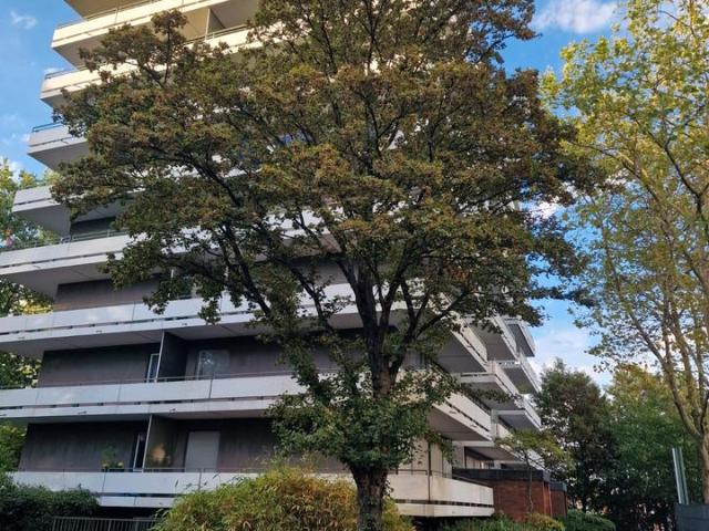 Düsseldorf Lörick: 3 Zimmer Wohnung mit großem Eck Balkon
