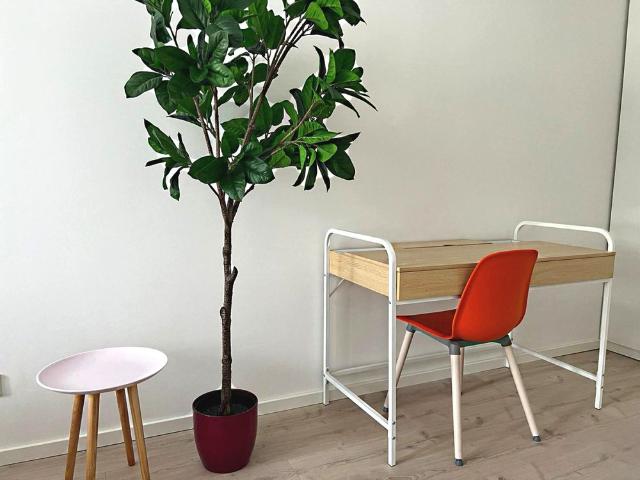 Kernsanierte 5 Zimmer Wohnung mit Dachterrasse Ecke Schadowstraße / Grafenberger Allee