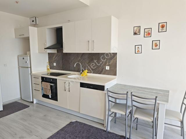 Düzce Üniversitesi Hastane Yanı 1+1 Eşyalı Kiralık Daire Balkonl