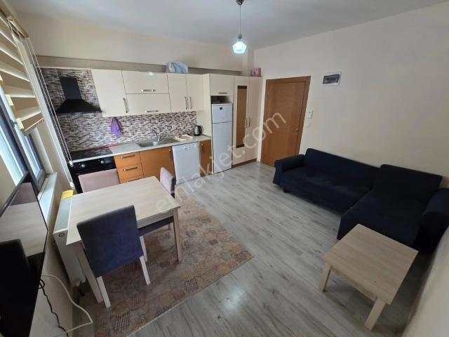 Düzce Üni. Bölg. Full Eşyalı Abonelikler Açık 1+1 Daire