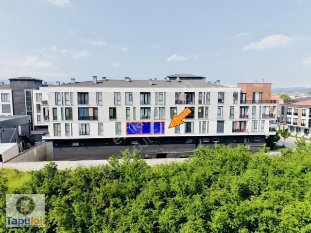 Düzce Merkez Algün Maidan 81 Sitesinde 2+1 Kiralık Daire
