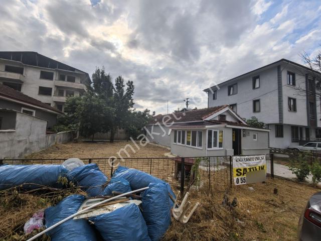 Düzce Merkez Çay Mah. 283 M2 Arsa İçinde Tek Kat Müstakil Ev